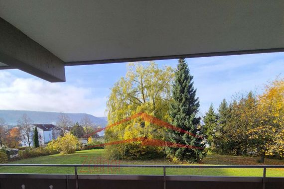 Sanierte 2,5 Zimmerwohnung mit geräumigem Balkon